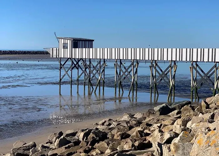 Maison Plain-pied 4 Pers, Jardin, Bbq, Wifi, Animaux Ok - - Fr-1-706-8 Châtelaillon-Plage